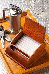 《沉默的蟋蟀》9月版本更新上线：原生模式登场